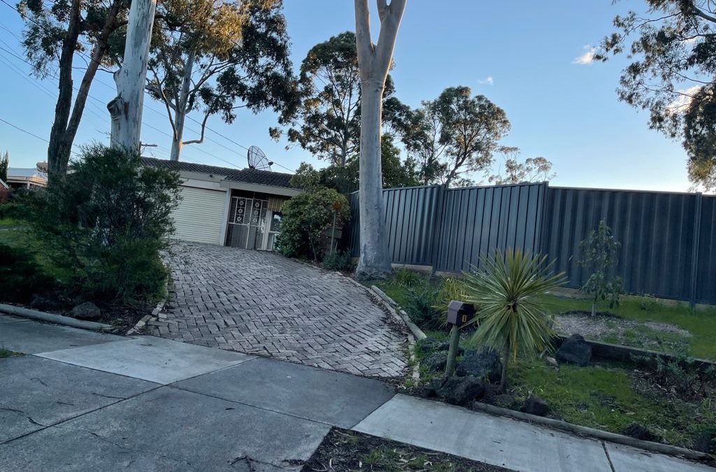 Removal of Tree in Vegetation Protection Overlay